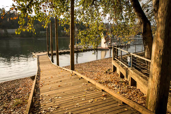 Sellwood Riverfront Park photo 1